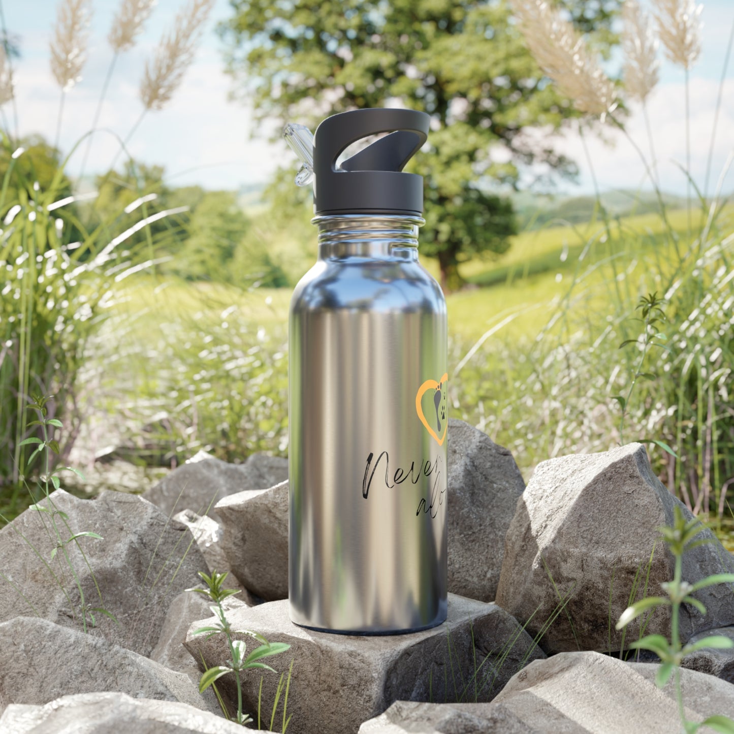 Never Walk Alone | Stainless Steel Water Bottle With Straw | 20oz