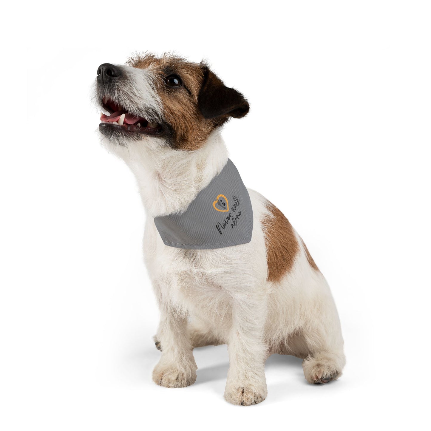 Never Walk Alone | Pet Bandana Collar