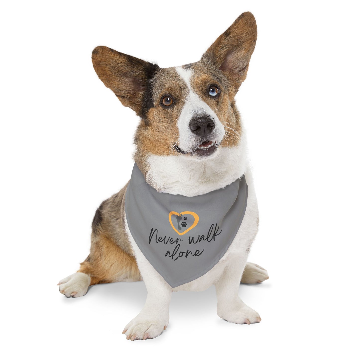 Never Walk Alone | Pet Bandana Collar