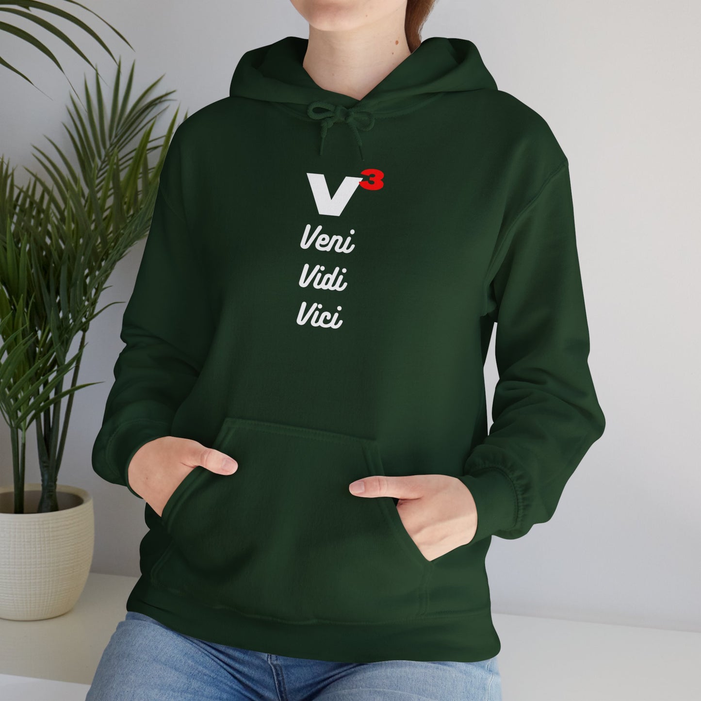 Veni, Vidi, Vici | V-Cubed | Hoodie