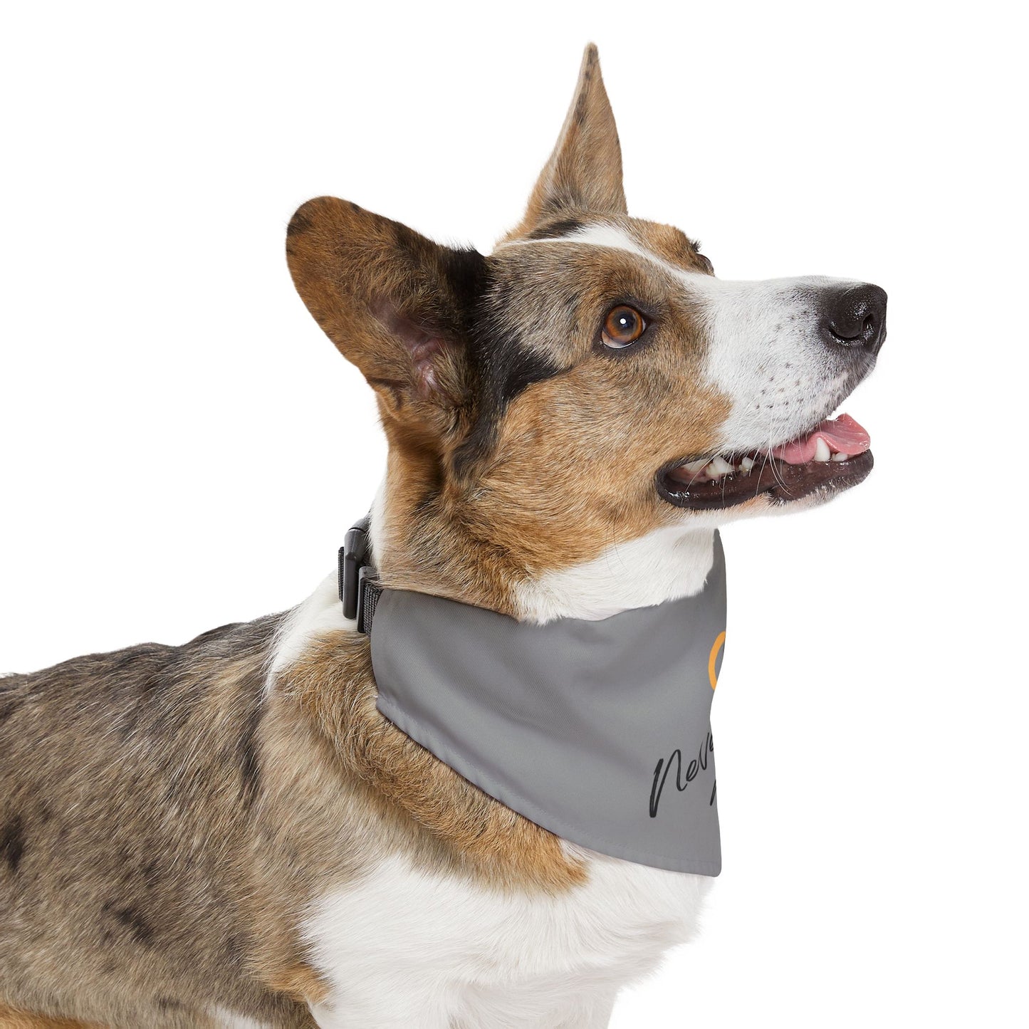 Never Walk Alone | Pet Bandana Collar