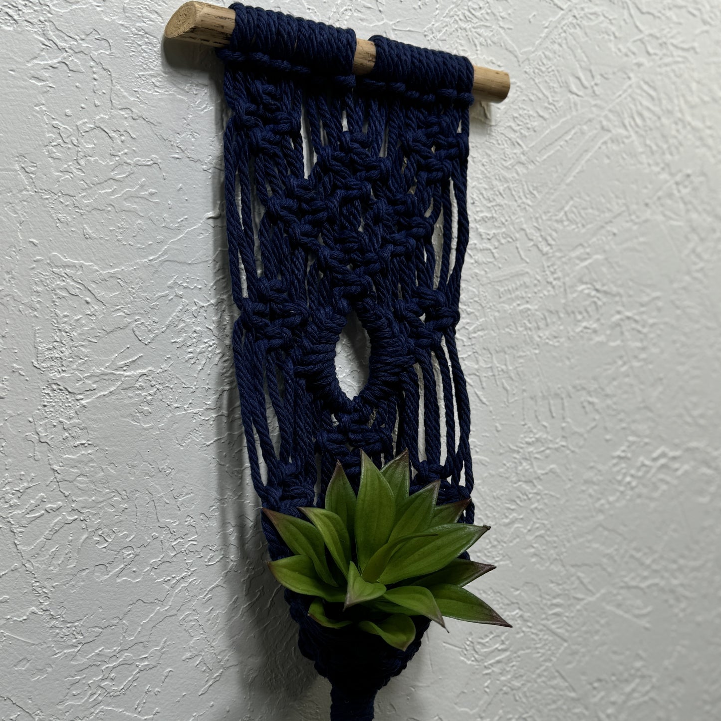 Macrame | Air Plant Hanger | Navy Blue Eye