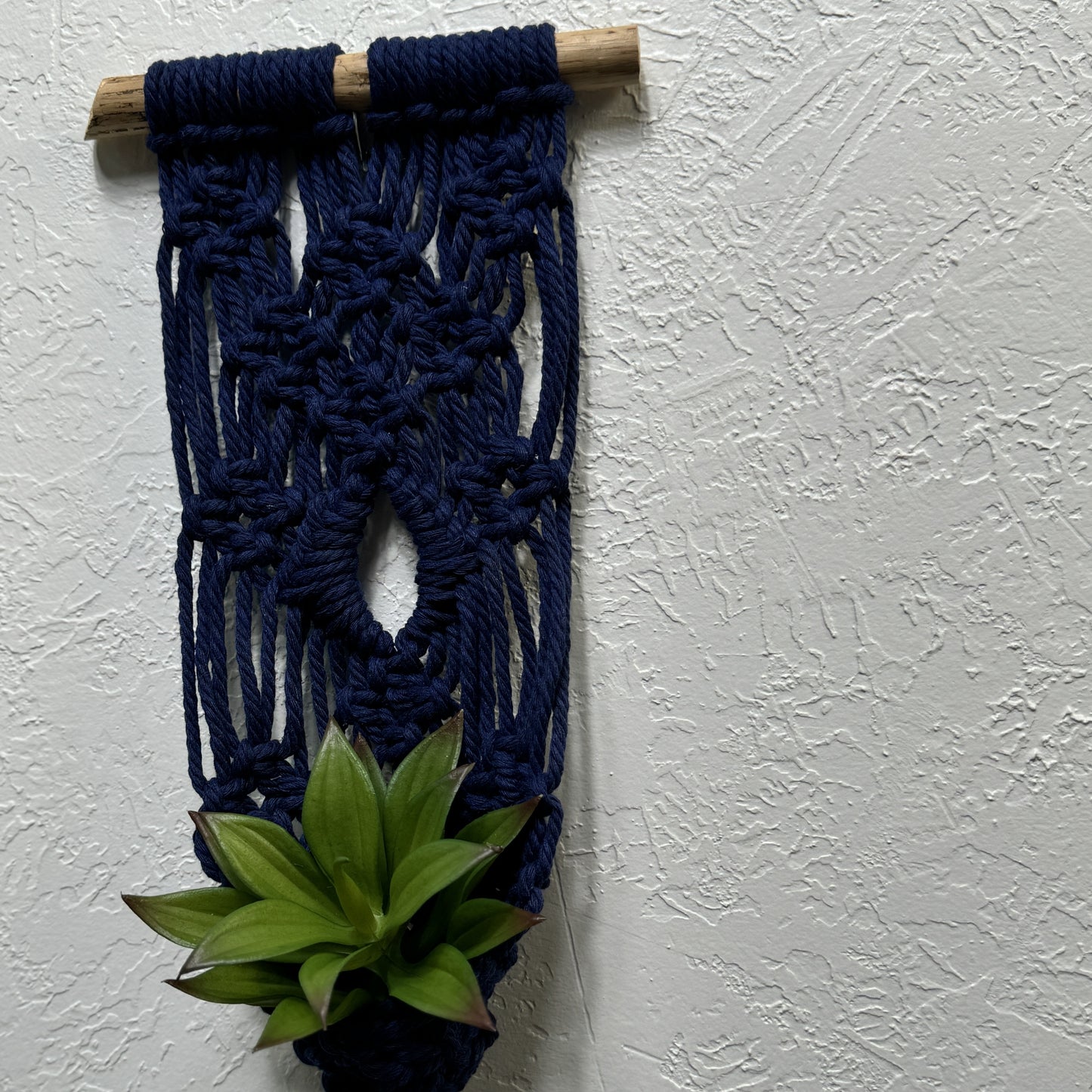 Macrame | Air Plant Hanger | Navy Blue Eye