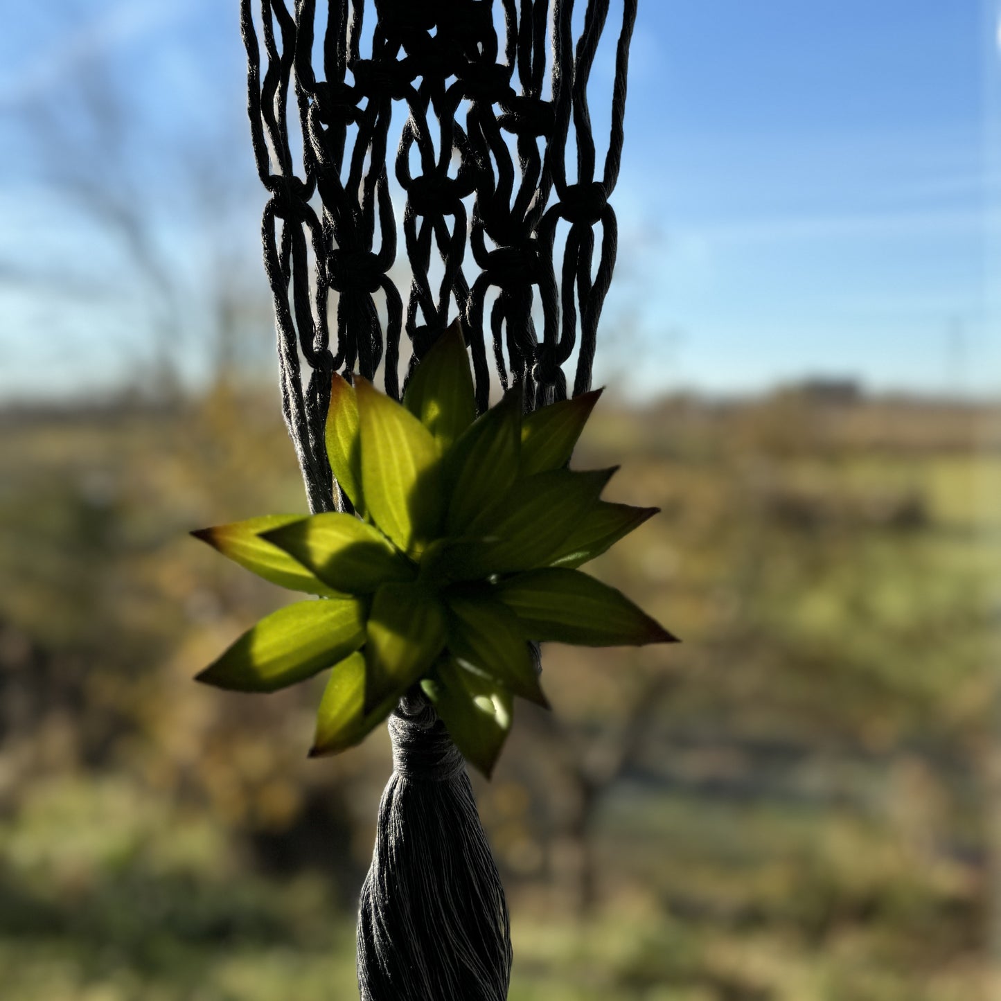 Macrame | Air Plant Hanger | Denim Blue Netting