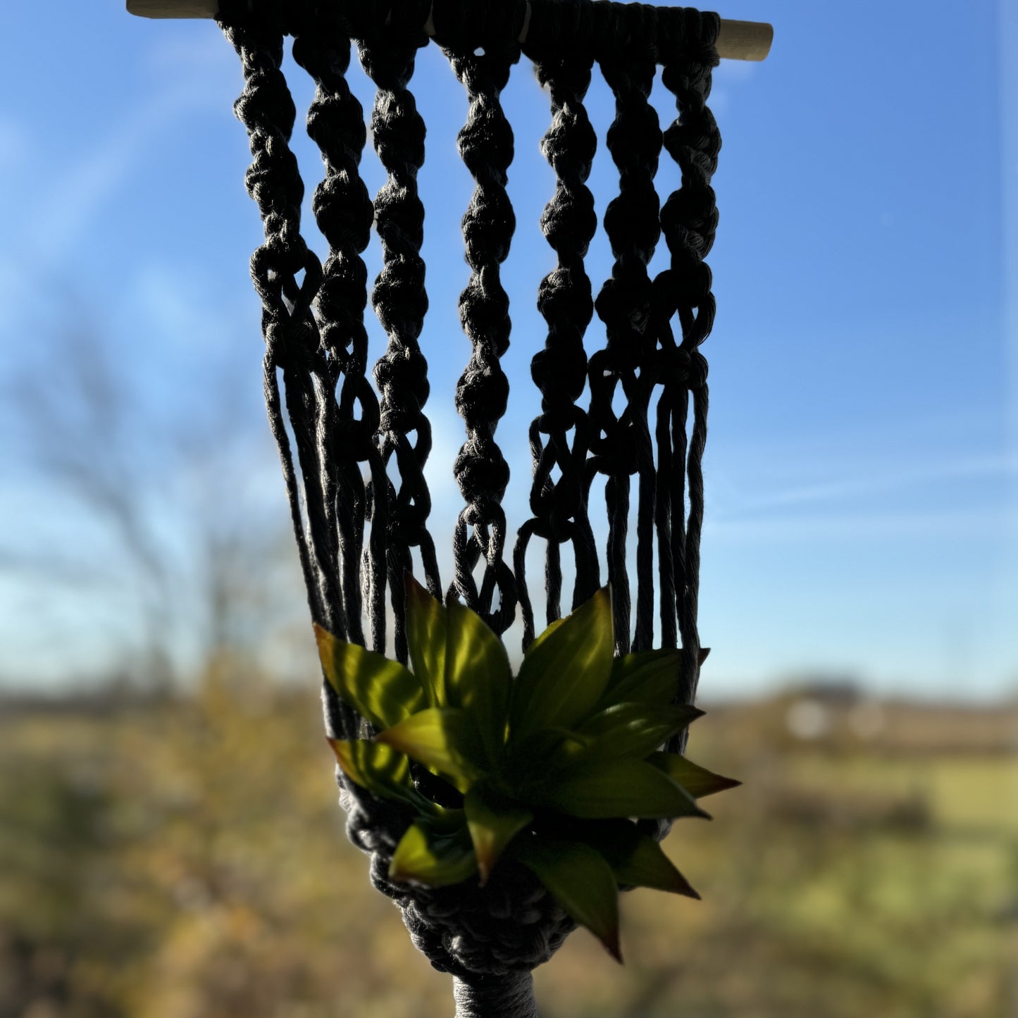 Macrame | Air Plant Hanger | Denim Blue Swirls