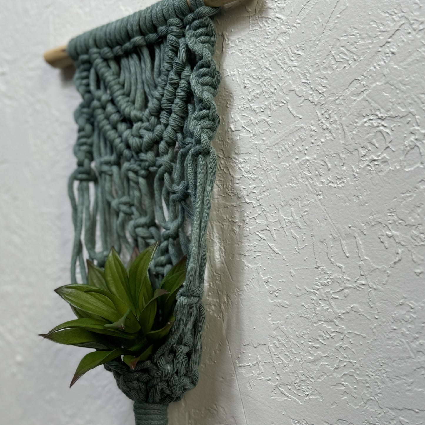 Macrame | Air Plant Hanger | Sage Green Arrows