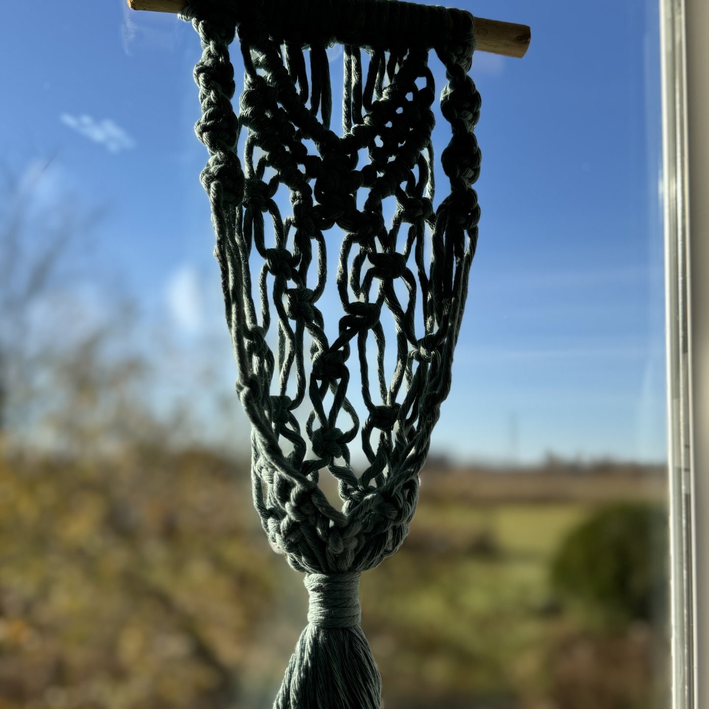 Macrame | Air Plant Hanger | Sage Green Arrows