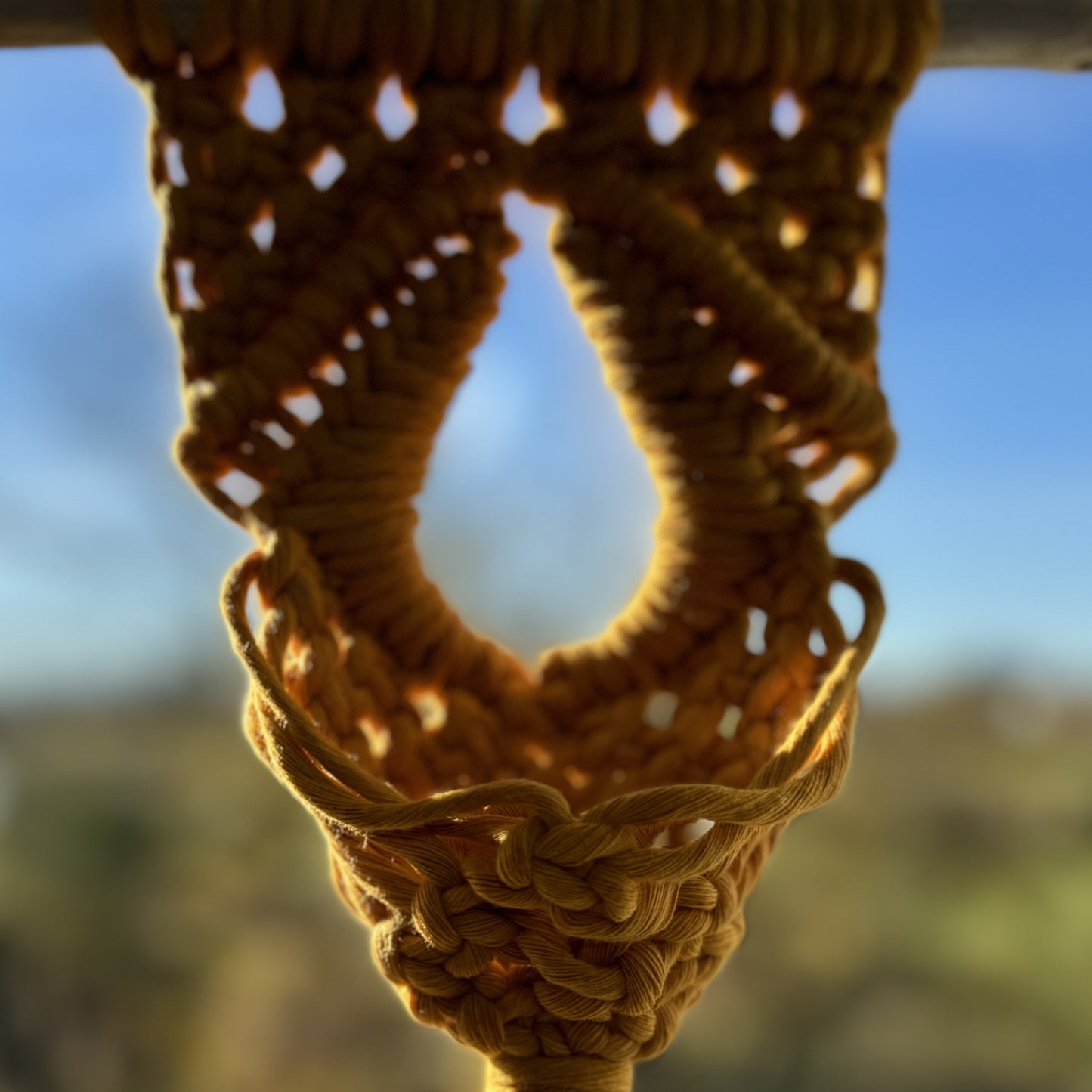 Macrame | Air Plant Hanger| Mustard Yellow Eye