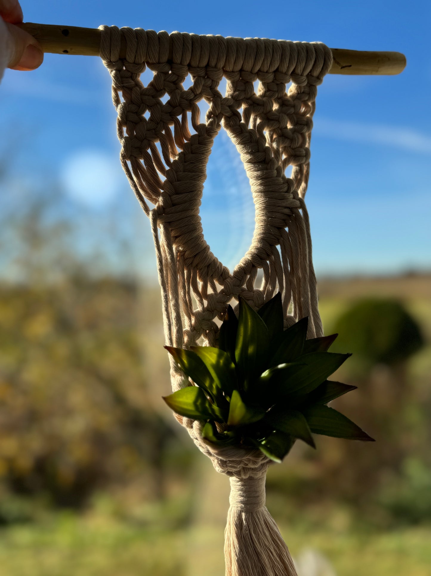 Macrame | Air Plant Hanger | Beige Eye