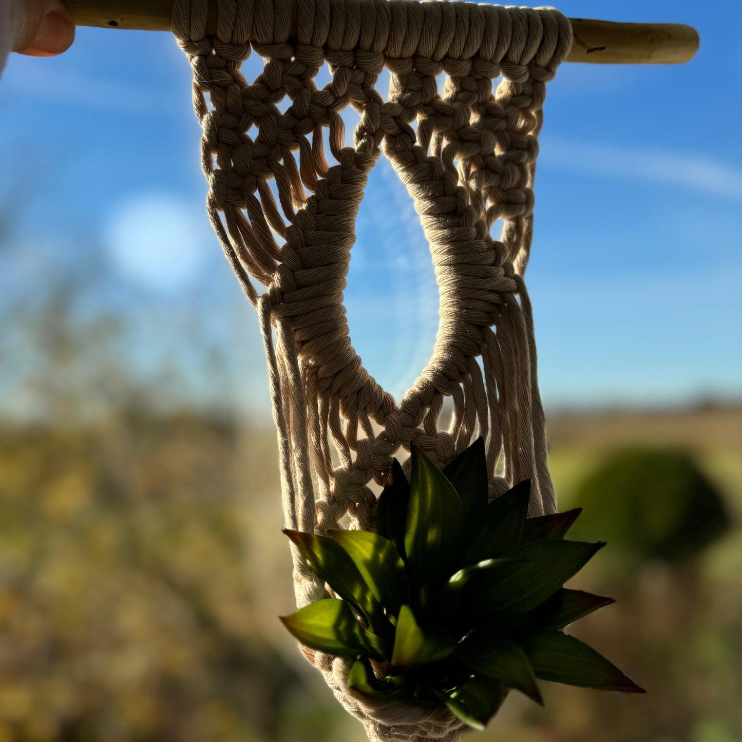Macrame | Air Plant Hanger | Beige Eye