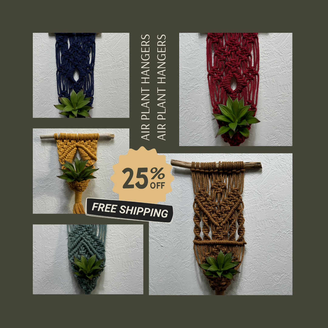 Air Plant Hangers