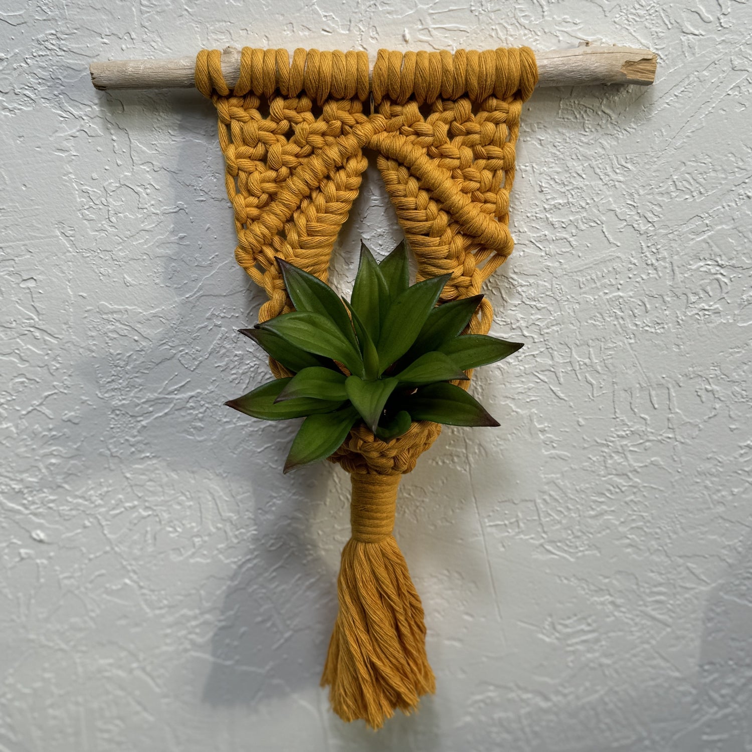 Air Plant Hangers