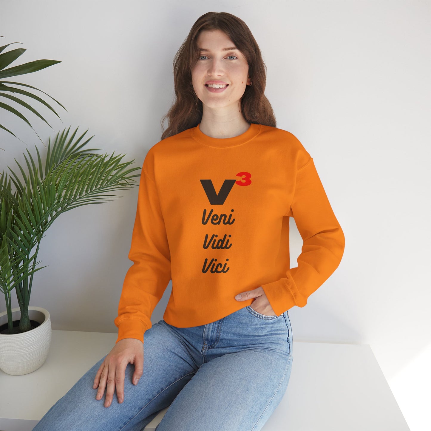 Veni, Vidi, Vici | V-Cubed | Unisex Heavy Blend Crewneck Sweatshirt