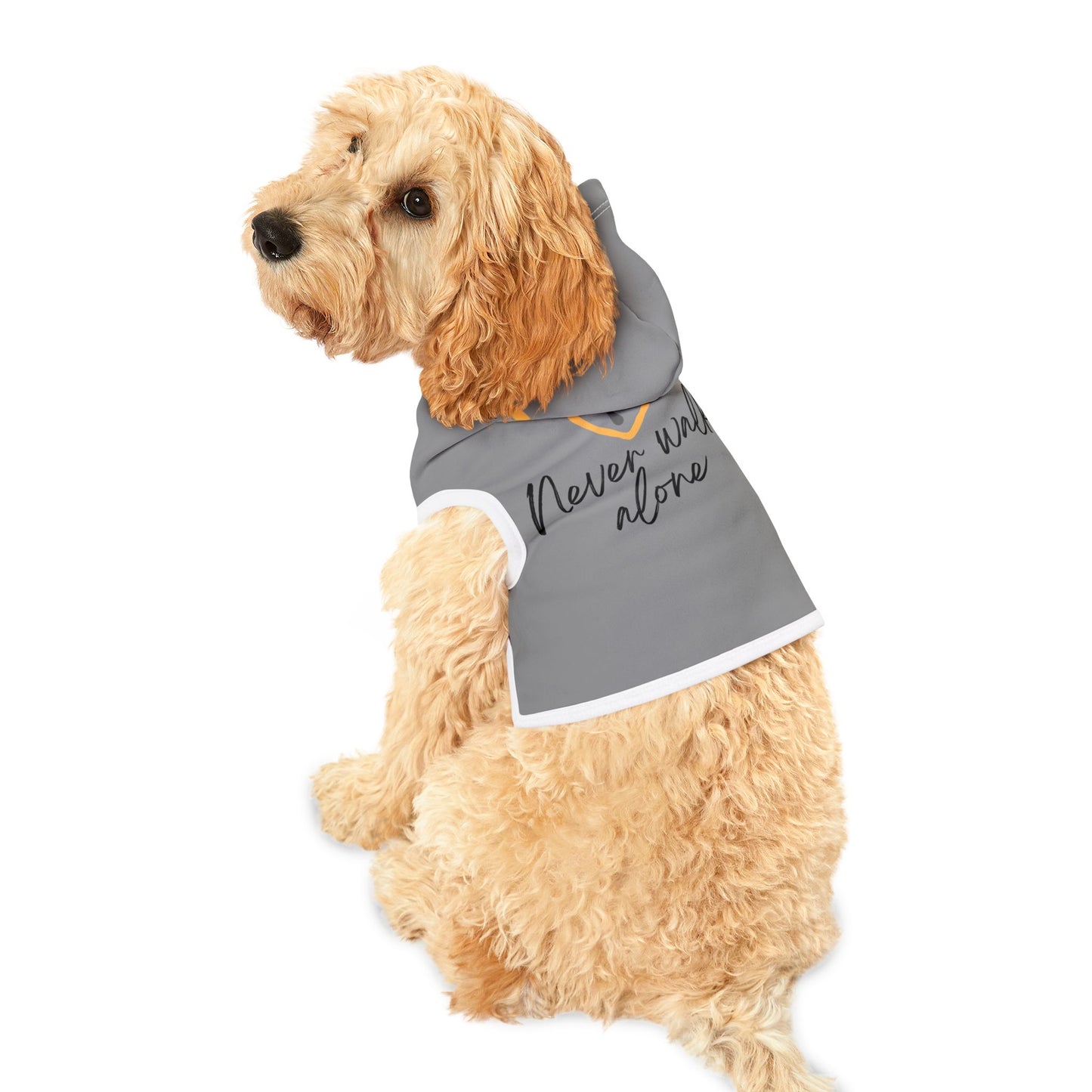 Never Walk Alone - Pet Hoodie