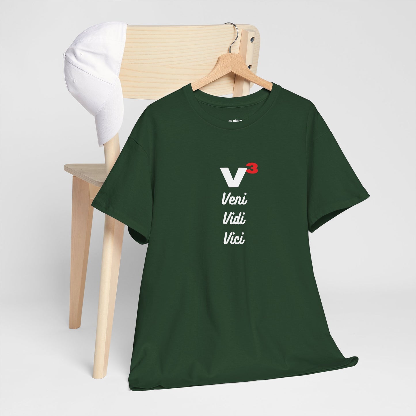 Veni, Vidi, Vici | V-Cubed | Unisex Heavy Cotton Graphic Tee