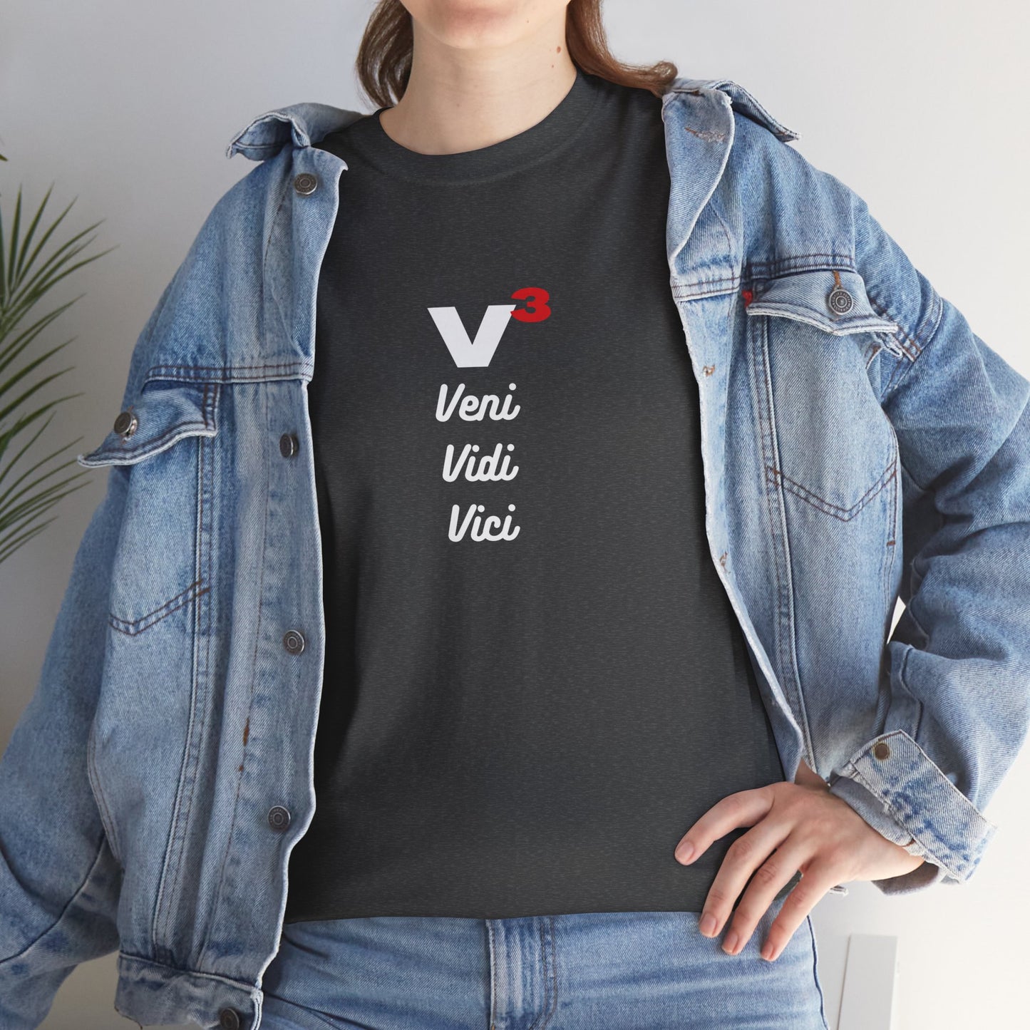 Veni, Vidi, Vici | V-Cubed | Unisex Heavy Cotton Graphic Tee