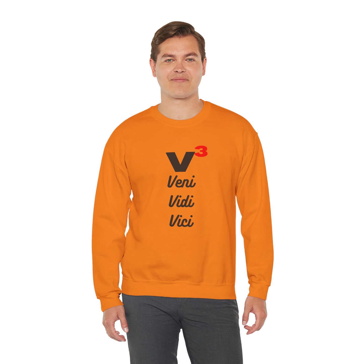 Veni, Vidi, Vici | V-Cubed | Unisex Heavy Blend Crewneck Sweatshirt