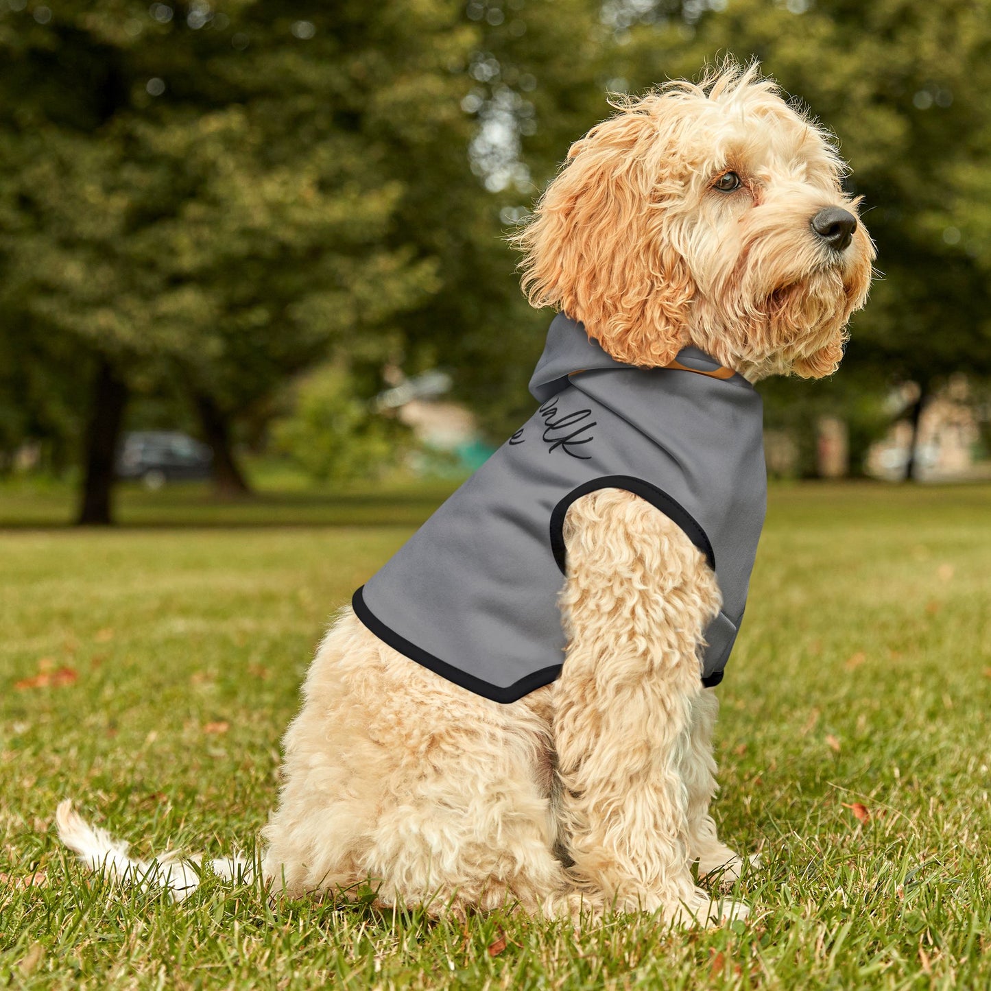 Never Walk Alone - Pet Hoodie