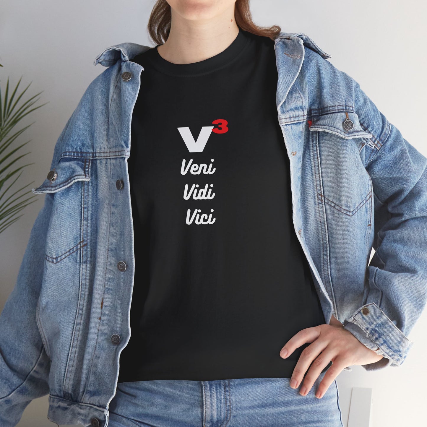 Veni, Vidi, Vici | V-Cubed | Unisex Heavy Cotton Graphic Tee