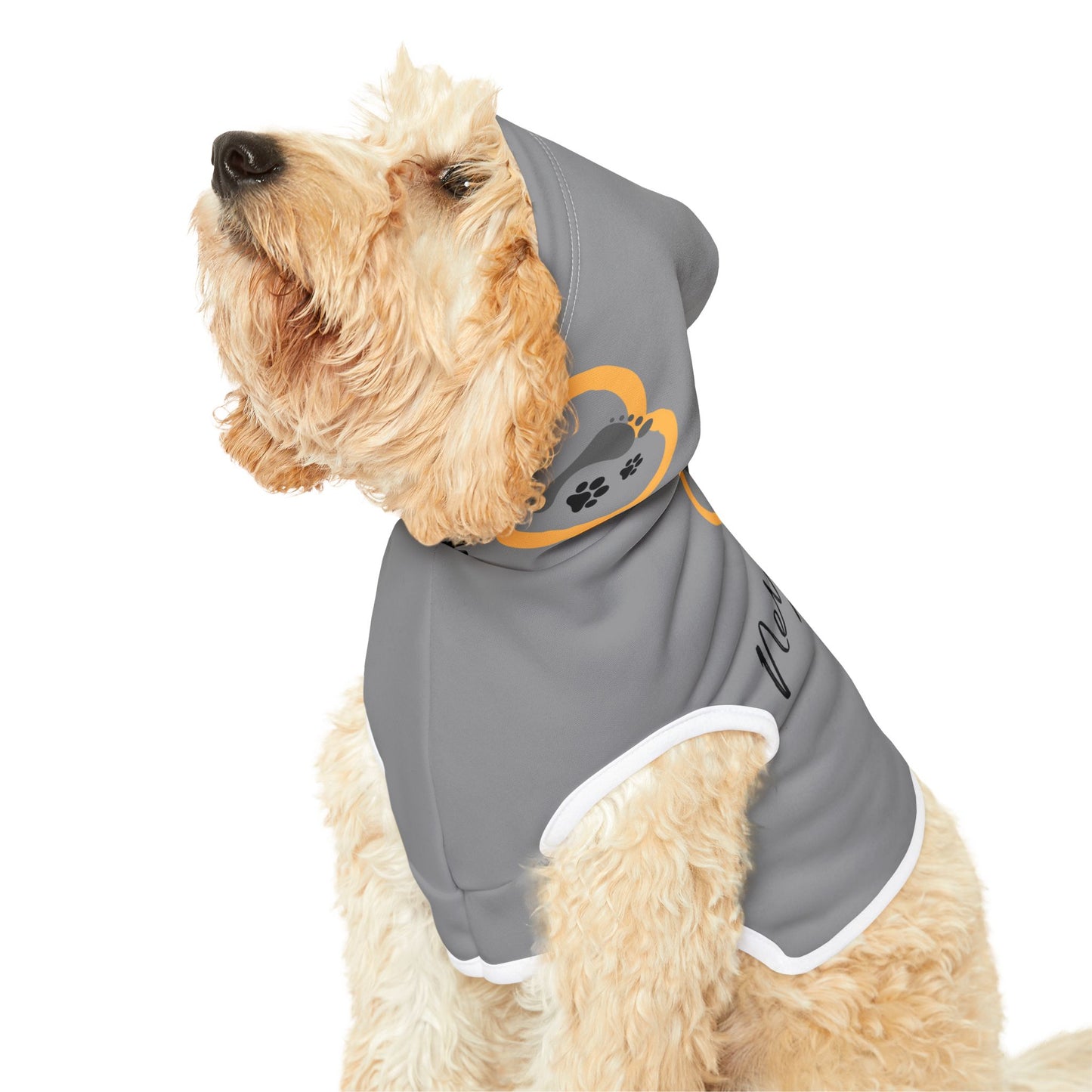 Never Walk Alone - Pet Hoodie