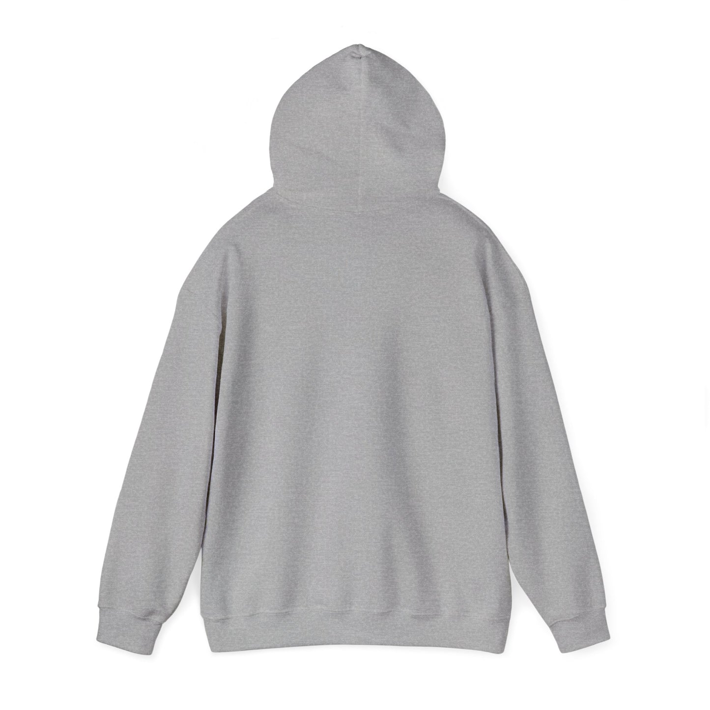 Bookish & A Lady | Hoodie