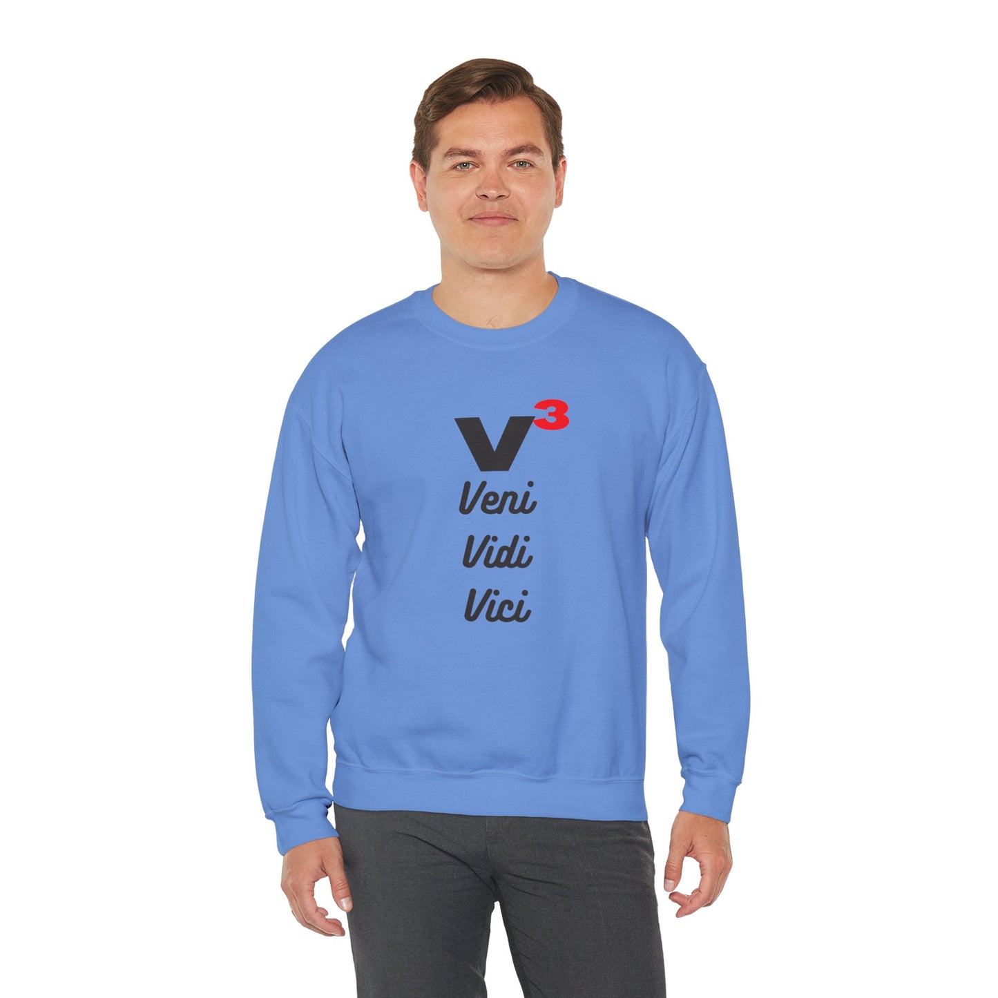 Veni, Vidi, Vici | V-Cubed | Unisex Heavy Blend Crewneck Sweatshirt