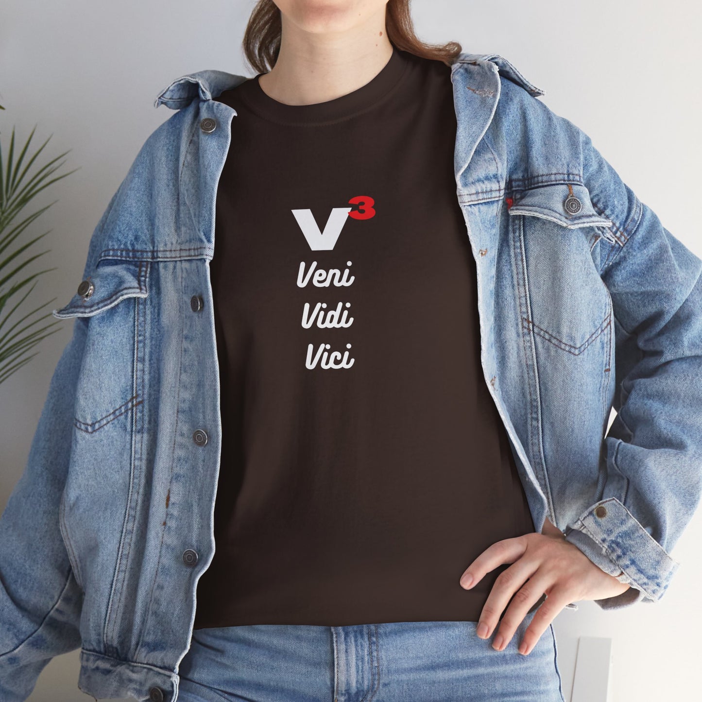 Veni, Vidi, Vici | V-Cubed | Unisex Heavy Cotton Graphic Tee