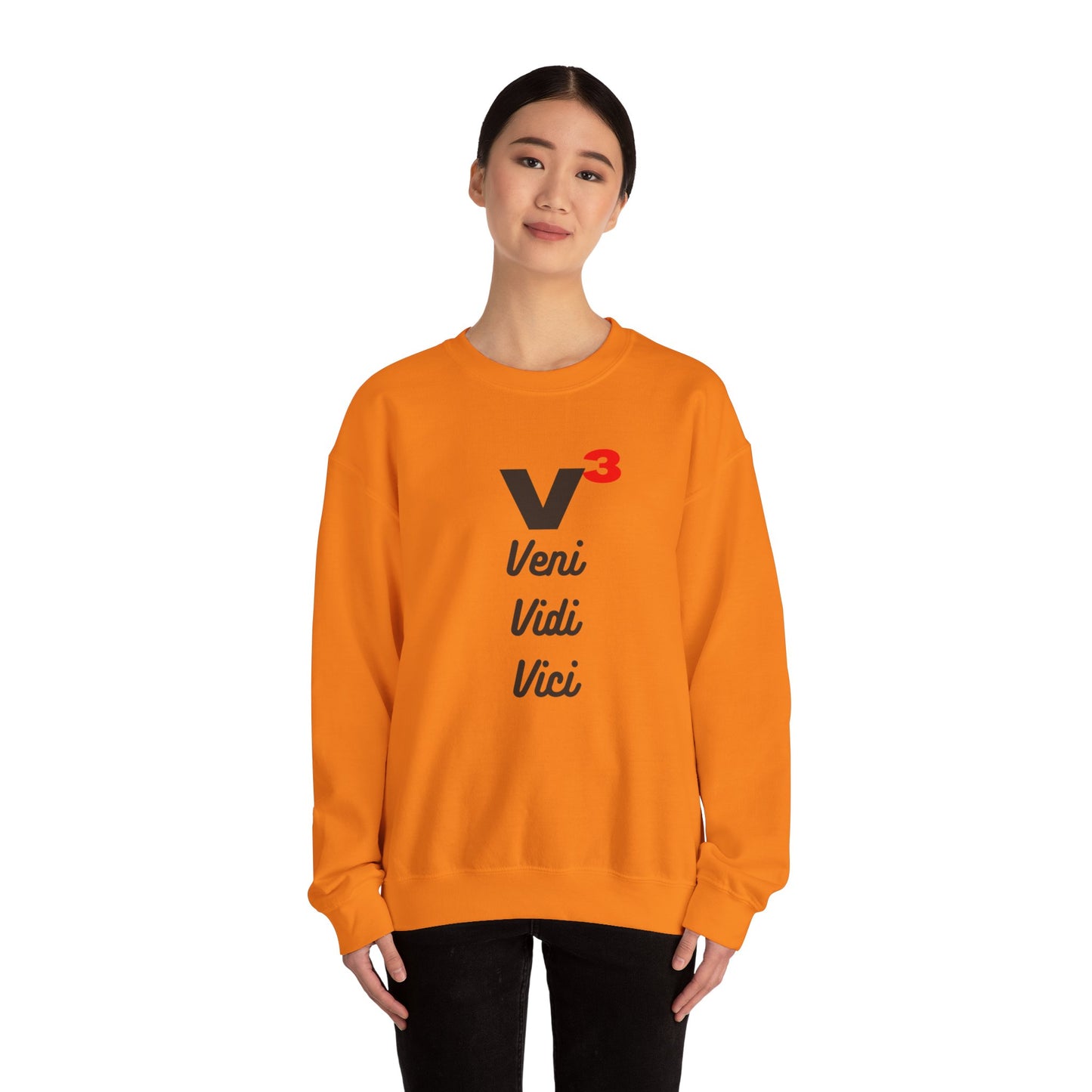 Veni, Vidi, Vici | V-Cubed | Unisex Heavy Blend Crewneck Sweatshirt