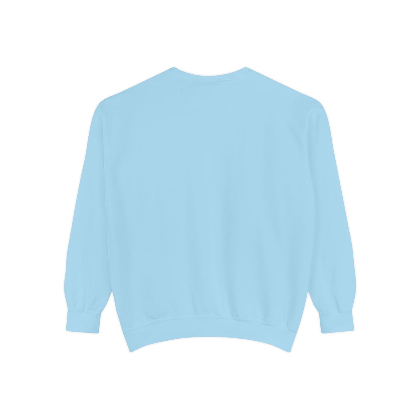 Shaping Change | All Forms | Garment Dyed Sweatshirt