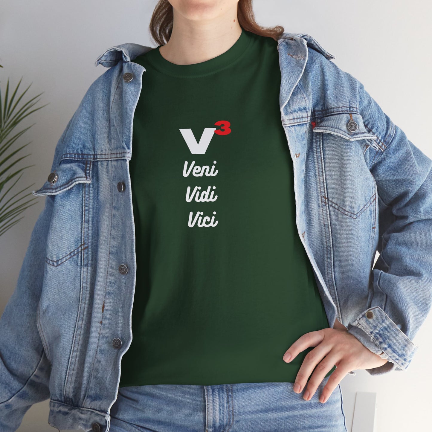 Veni, Vidi, Vici | V-Cubed | Unisex Heavy Cotton Graphic Tee