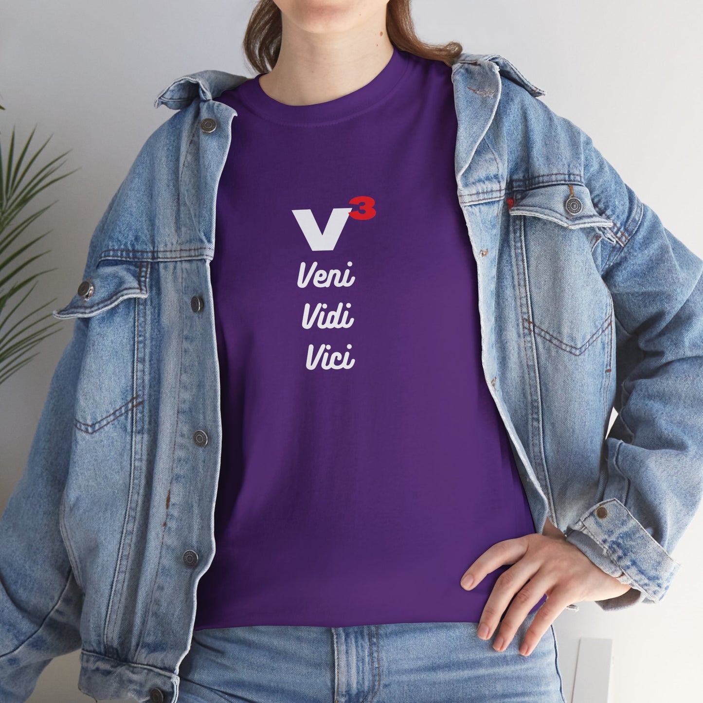 Veni, Vidi, Vici | V-Cubed | Unisex Heavy Cotton Graphic Tee