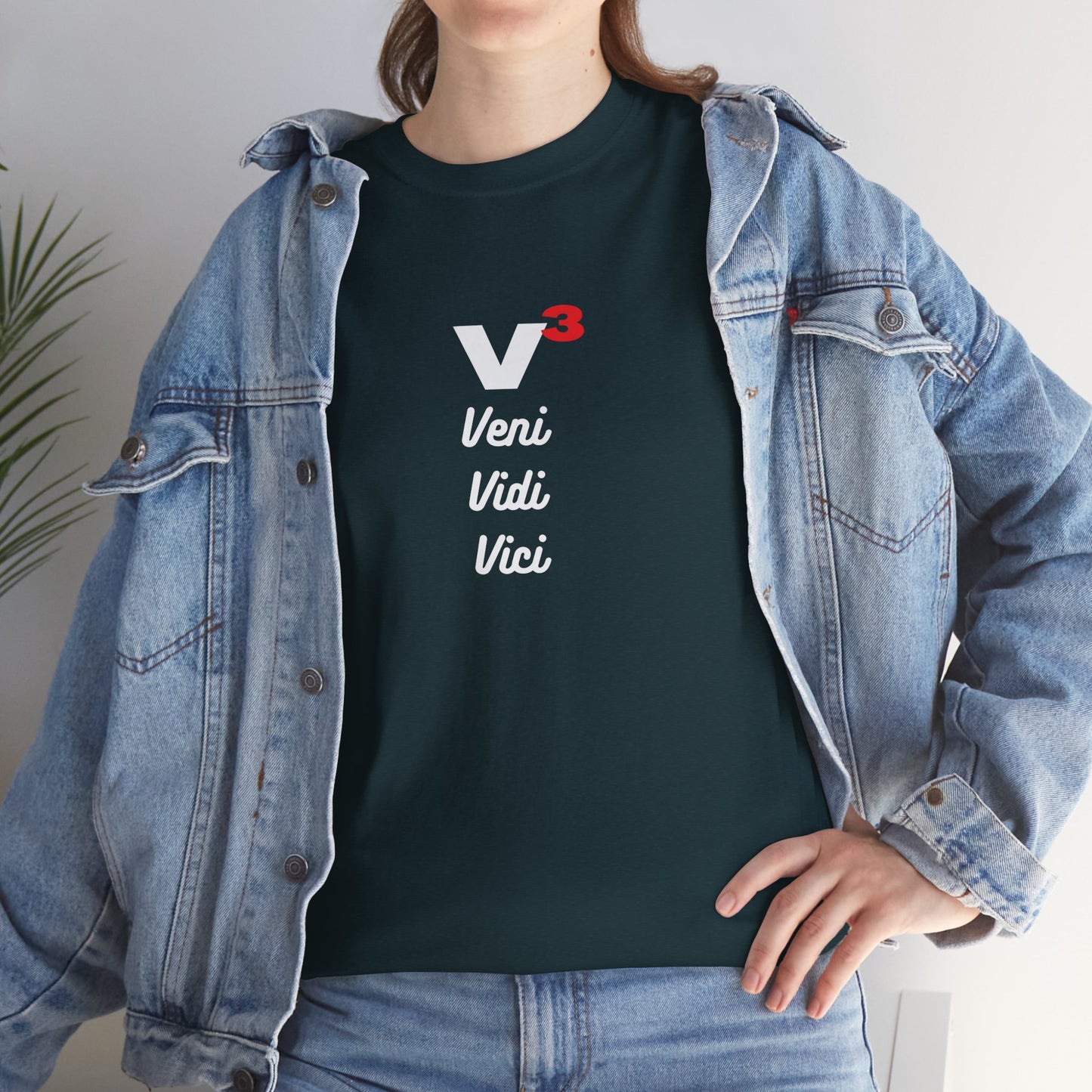 Veni, Vidi, Vici | V-Cubed | Unisex Heavy Cotton Graphic Tee