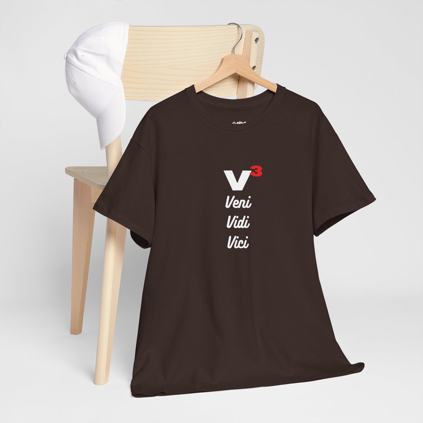 Veni, Vidi, Vici | V-Cubed | Unisex Heavy Cotton Graphic Tee