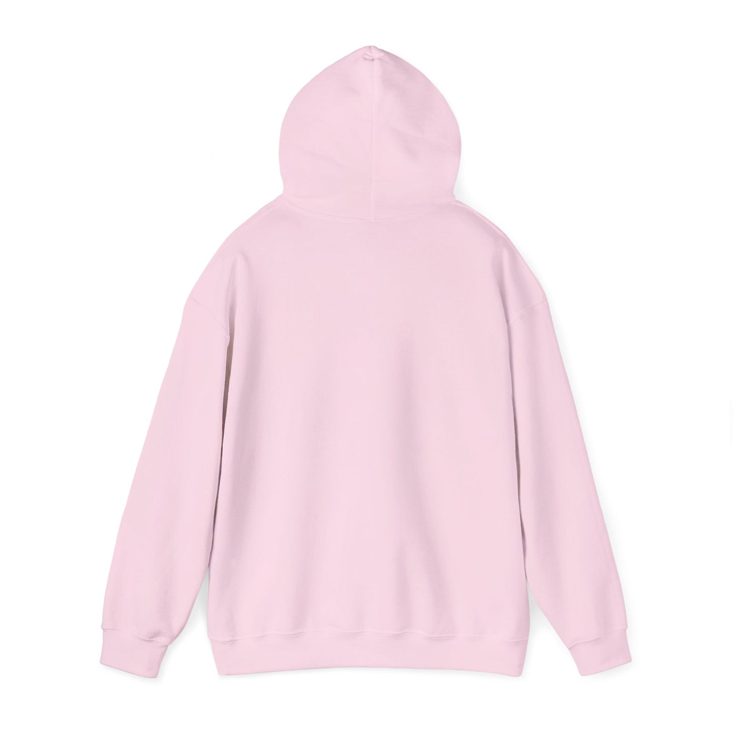Bookish & A Lady | Hoodie