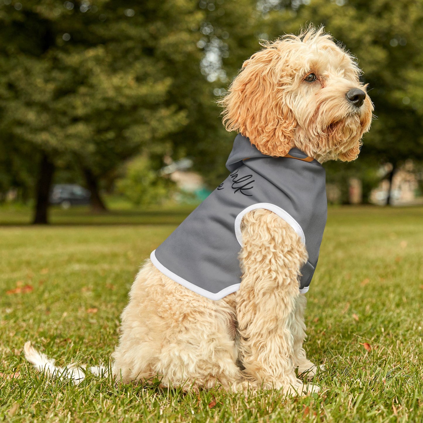 Never Walk Alone - Pet Hoodie