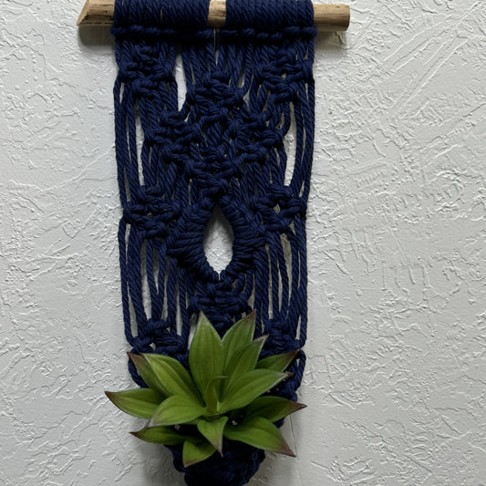 Macrame - Air Plant Hanger - Navy Blue Eye