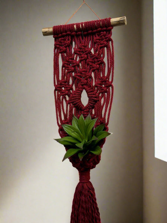 Macrame | Air Plant Hanger | Americana Red Eye