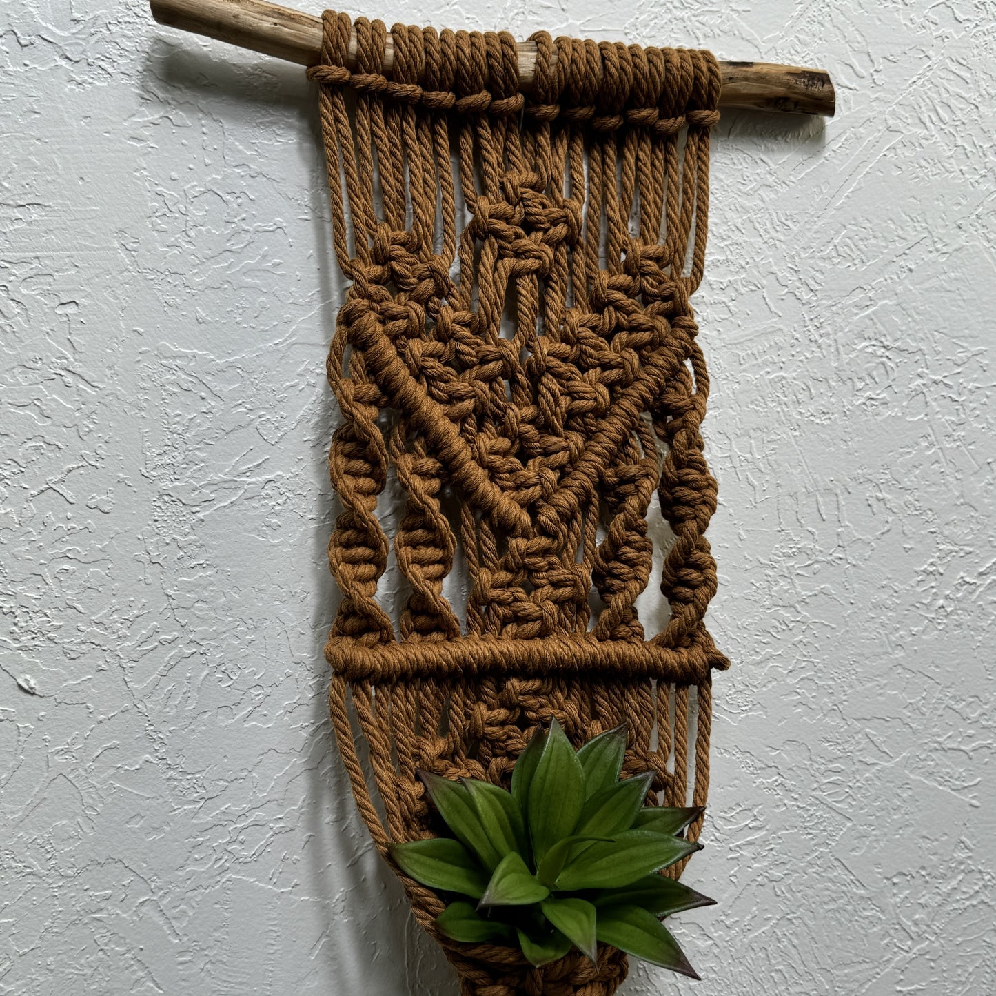 Macrame - Air Plant Hanger - Caramel Arrow