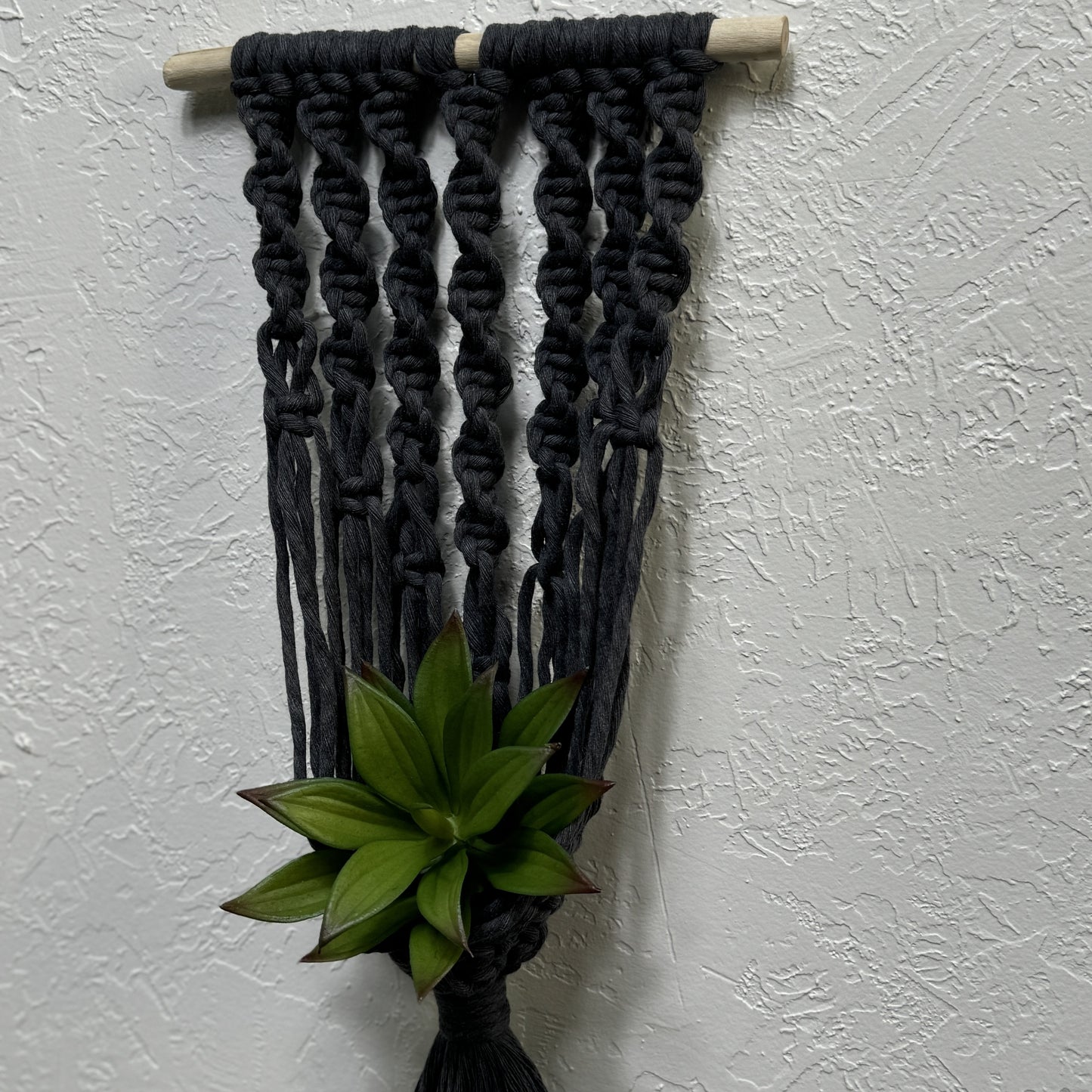 Macrame - Air Plant Hanger - Denim Blue Swirls