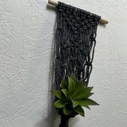 Macrame - Air Plant Hanger - Denim Blue Netting