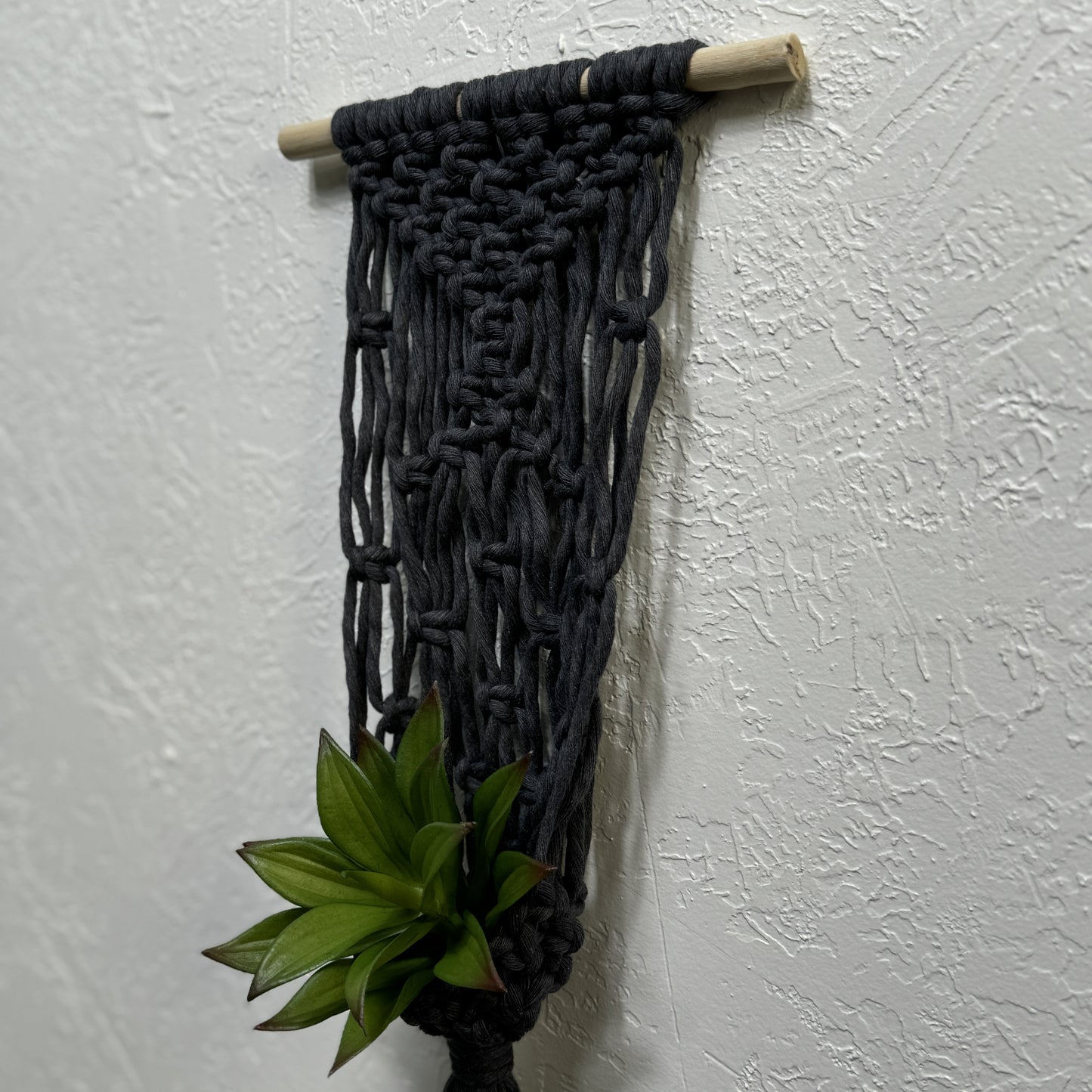 Macrame - Air Plant Hanger - Denim Blue Netting