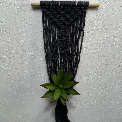 Macrame - Air Plant Hanger - Denim Blue Netting