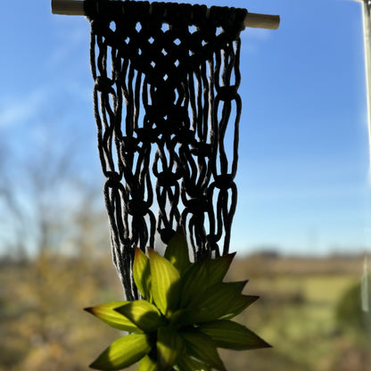 Macrame - Air Plant Hanger - Denim Blue Netting