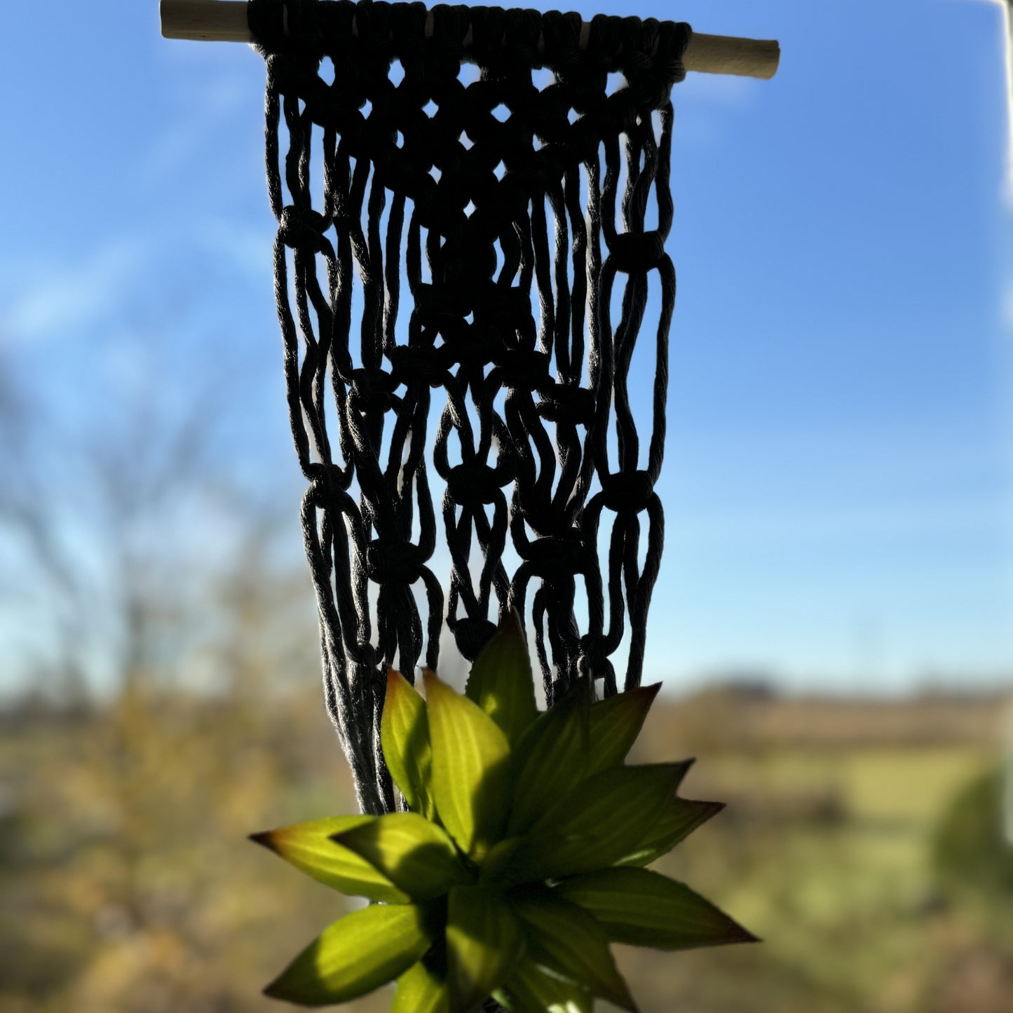 Macrame - Air Plant Hanger - Denim Blue Netting