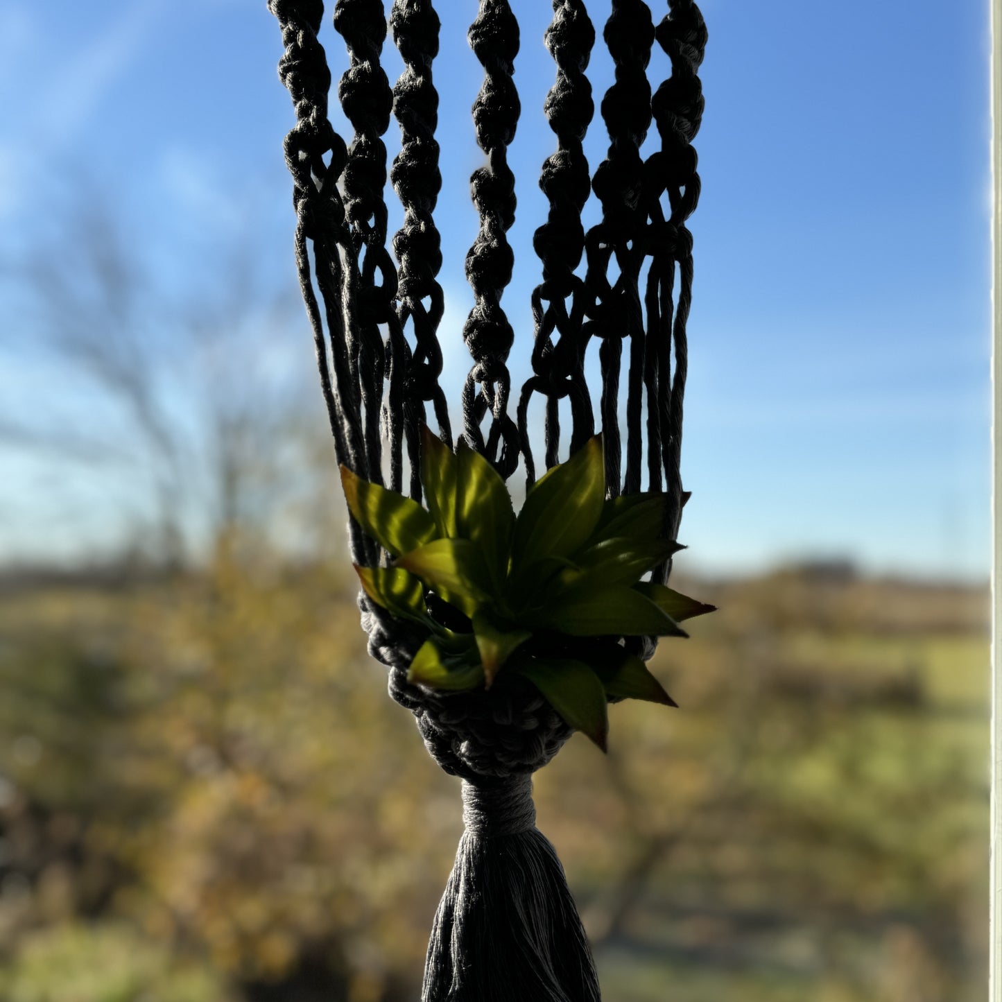 Macrame - Air Plant Hanger - Denim Blue Swirls