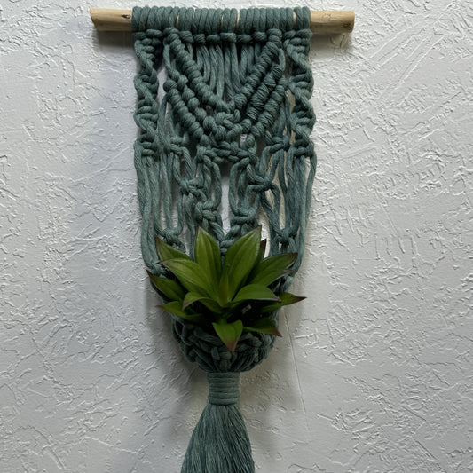 Macrame - Air Plant Hanger - Sage Green Arrows