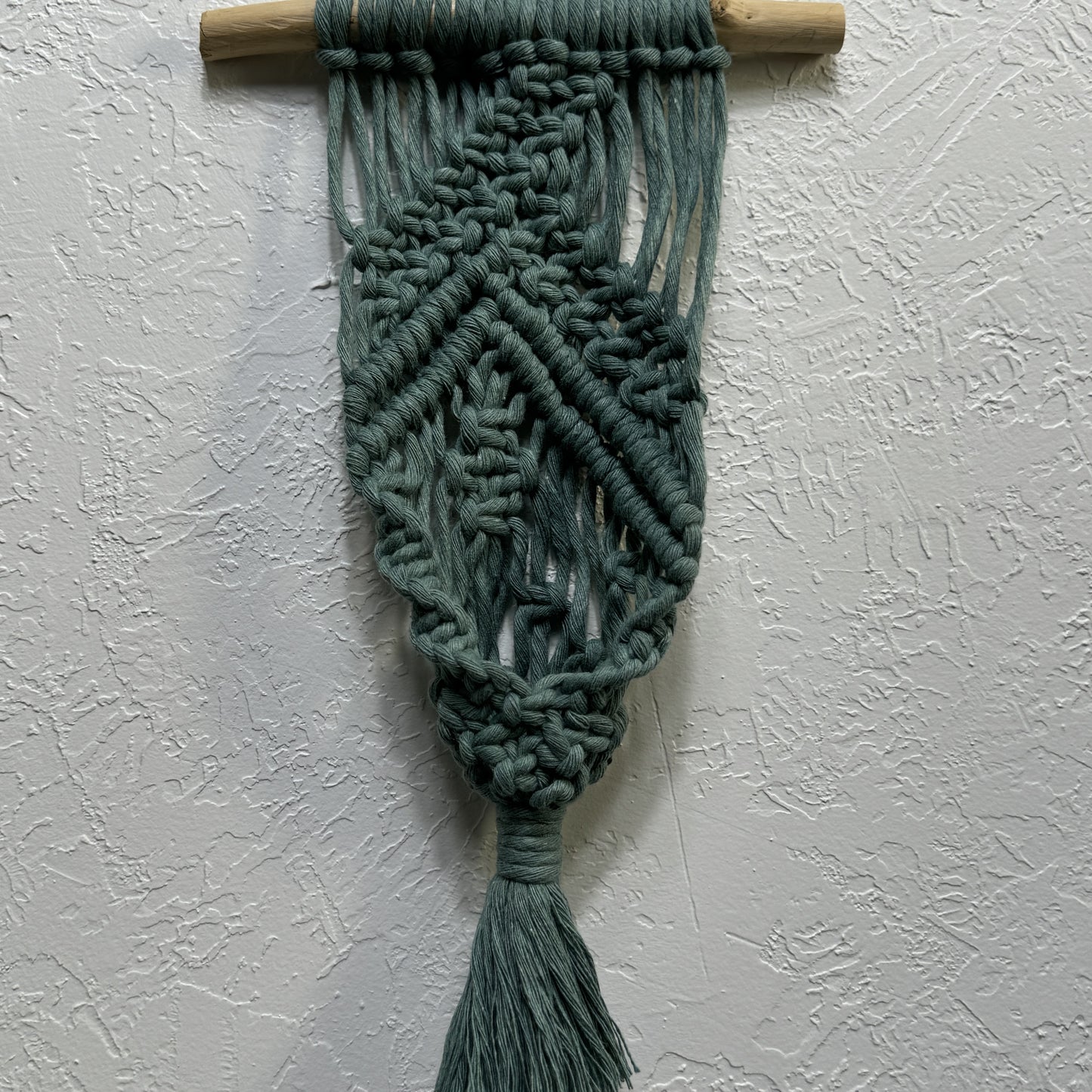 Macrame | Air Plant Hanger | Sage Green Bars