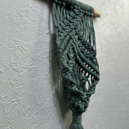 Macrame | Air Plant Hanger | Sage Green Bars