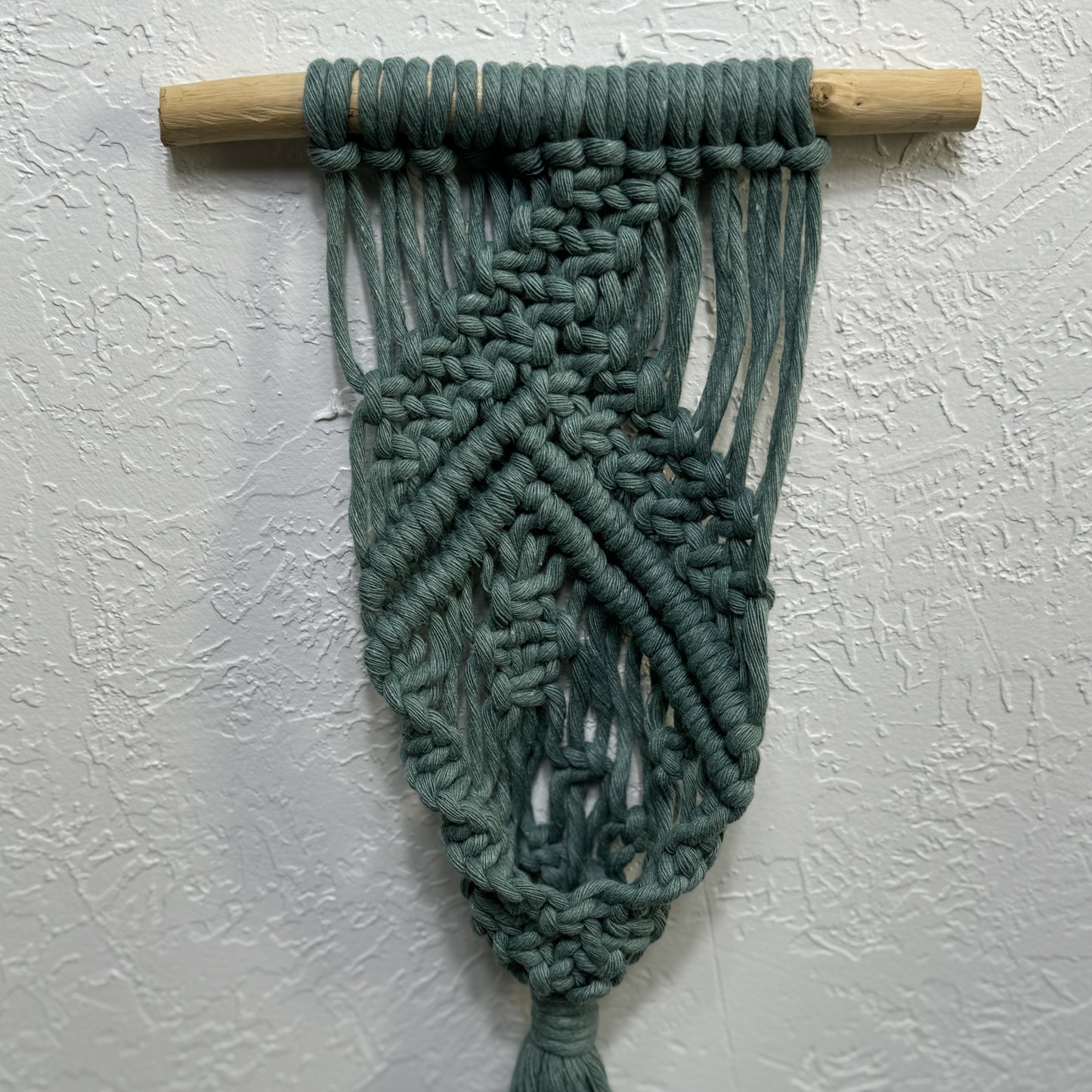 Macrame | Air Plant Hanger | Sage Green Bars
