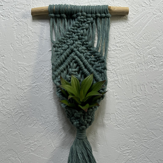 Macrame - Air Plant Hanger - Sage Green Bars